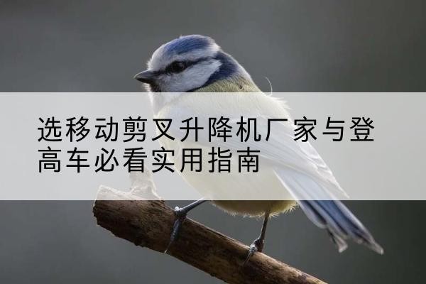 青原电动升降机厂家-选移动剪叉升降机厂家与登高车必看实用指南