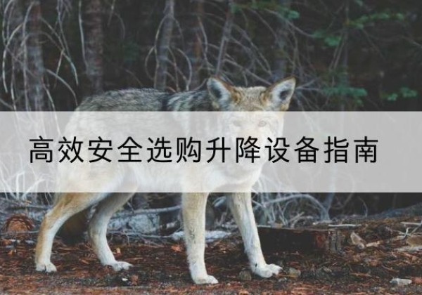 青原升降货梯厂家推荐-*安全选购升降设备指南