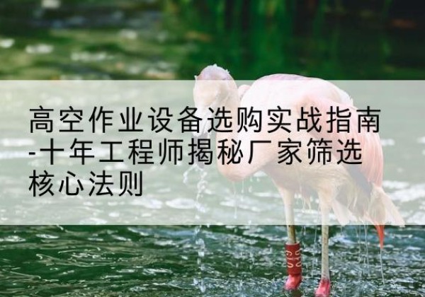 青原剪叉式升降机厂家-高空作业设备选购实战指南-十年工程师揭秘厂家筛选核心法则